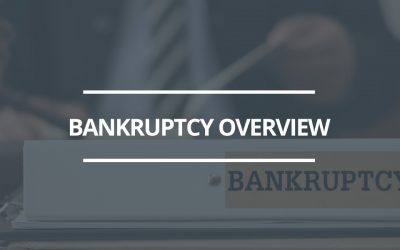 The Bankruptcy Process